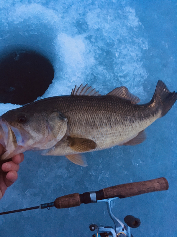 F771B4F9-E394-4BBA-8215-BCE224D33C09