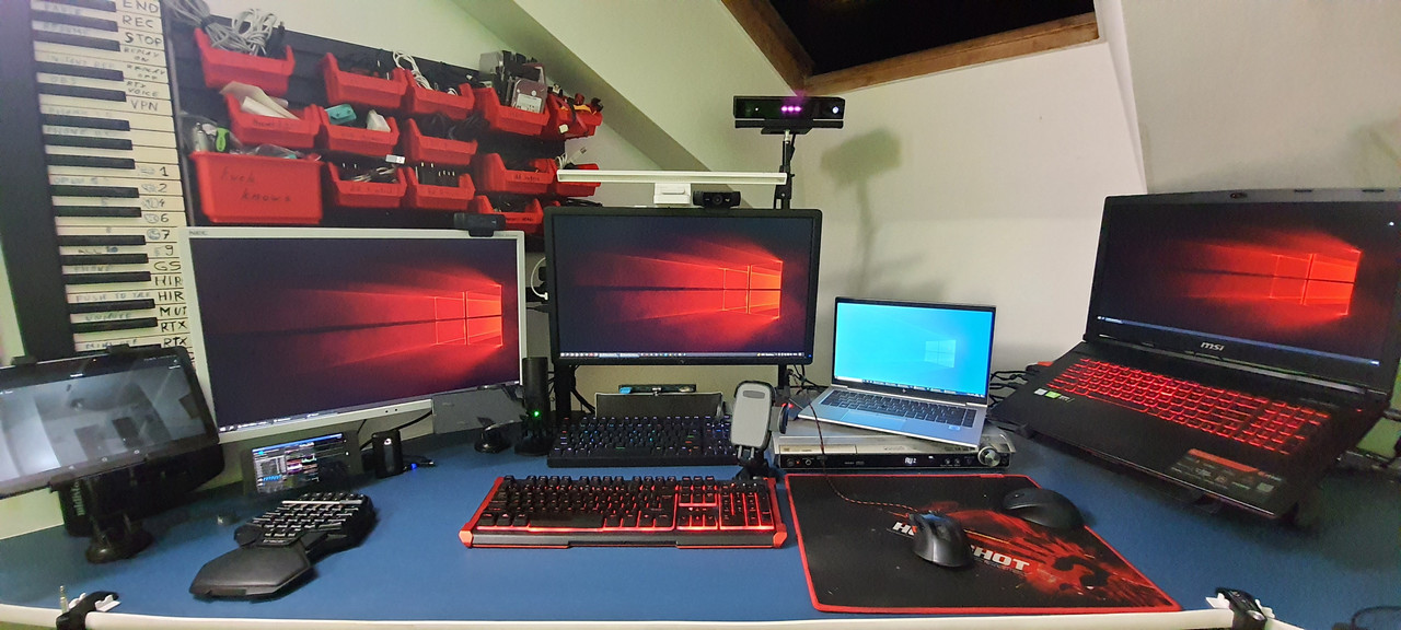 linus-3.jpg