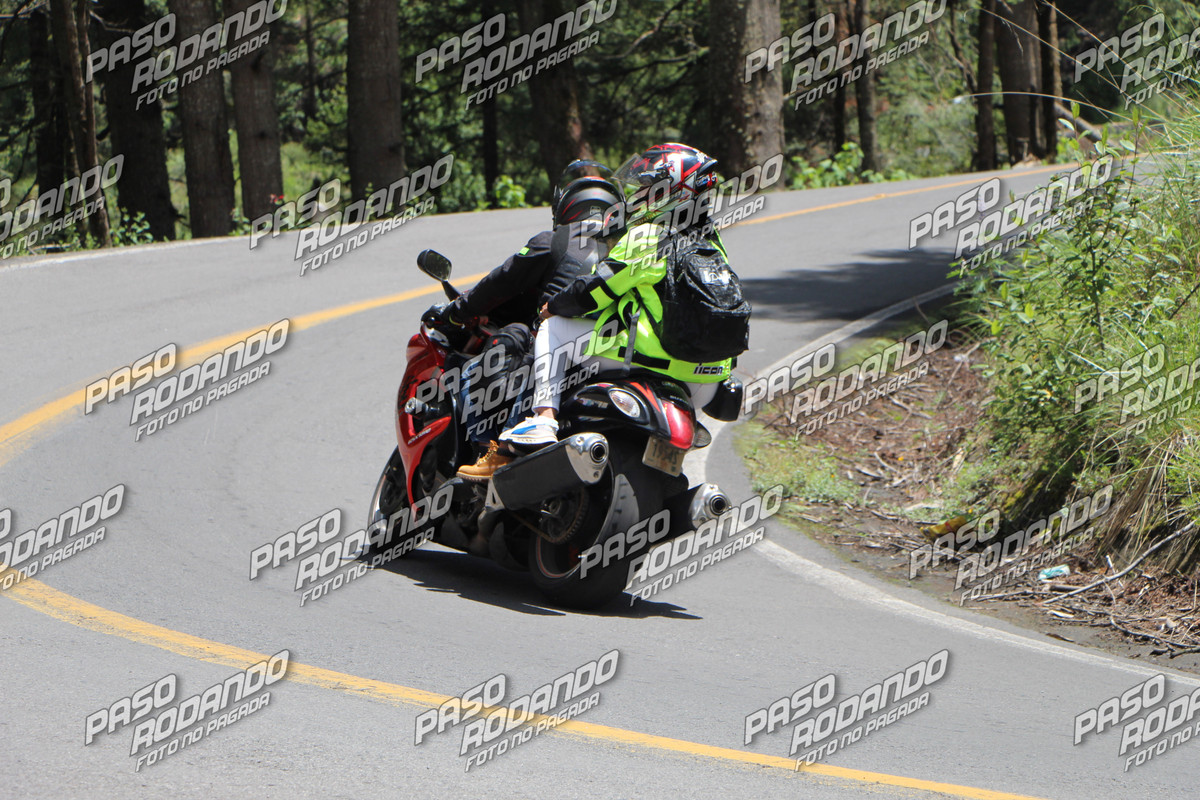 IMG 1579 wm 871046 8 watermarked — Postimages