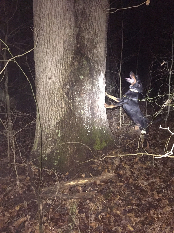 E0C5246A-311F-48CB-8D88-EE78008E2E90