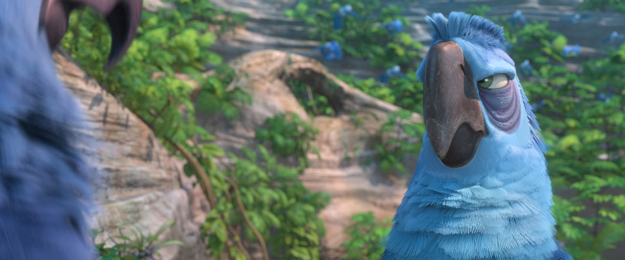 Rio 2 2014 (1080p x265 10bit Tigole).mkv_snapsho