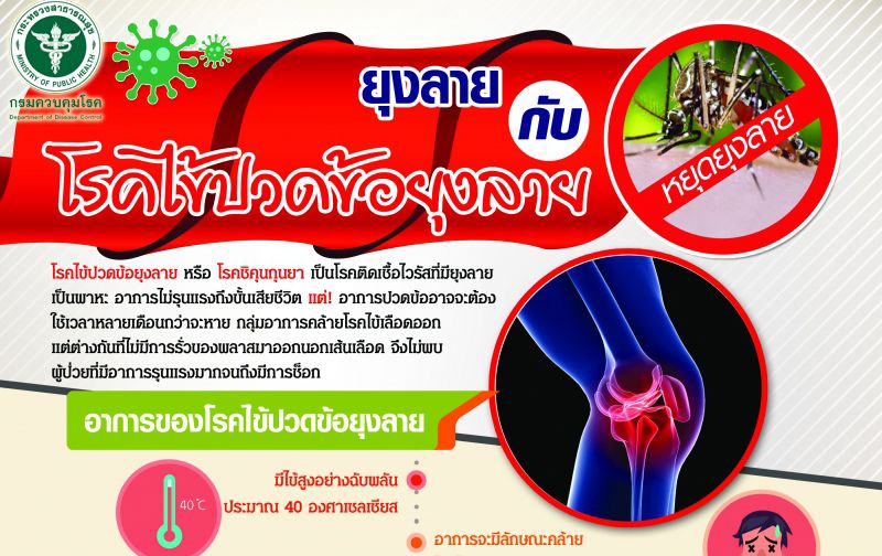 เตือนประชาชนระวังป่วยโรคไข้ปวดข้อยุงลาย แนะยึดหลัก ?3 เก็บ ป้องกัน 3 โรค?