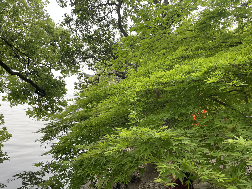 7688D1D9-7486-42EA-8CE9-CDEF2972DEE4