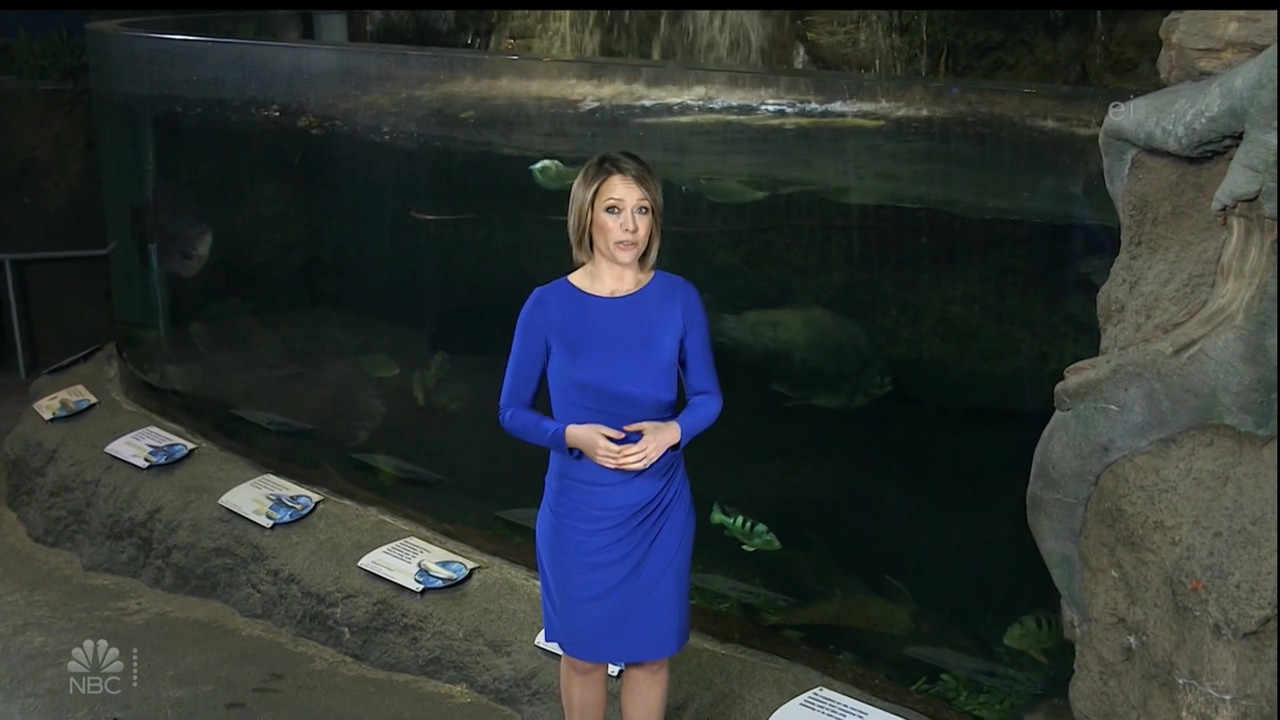 11.07 - 15.00.00 - Earth Odyssey With Dylan Dreyer. The world's smart....ts_snapshot_00.14.50.846