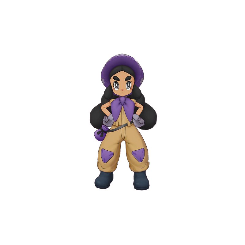 ch0013-00-hapu-expose-1024.png