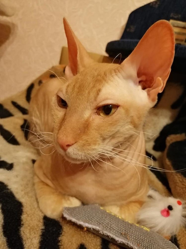 53C67E17-66A4-4615-99F9-B7C8B1398C43