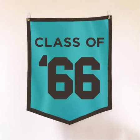 Various Artists - Class of '66 (2021)