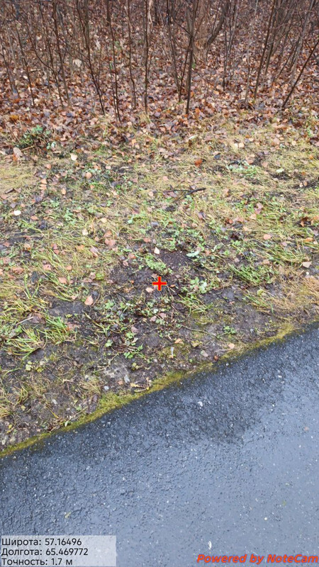 photo 20 2025 11 01 16 41 15
