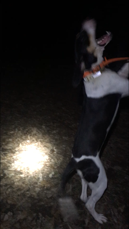 9A4FE088-DD55-4C82-A84A-4120EDDAC4AB