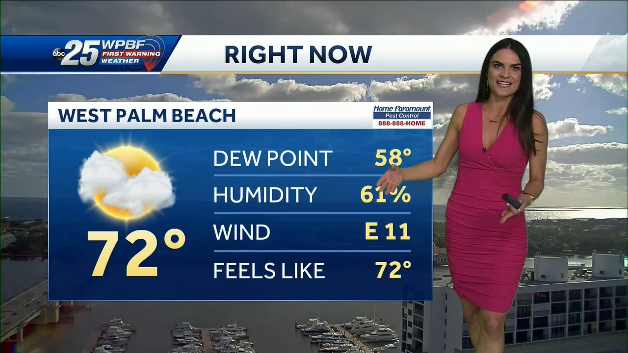 12.23 - 14.00.00 - WPBF 25 News at 9 00 AM..ts_snapshot_00.51.45.825