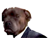 img.png