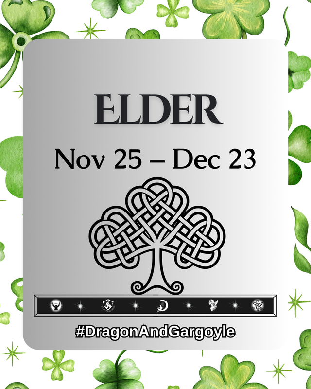 Elder