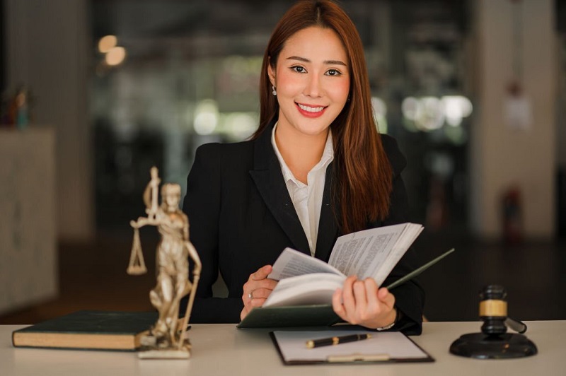 lawyers lawyers