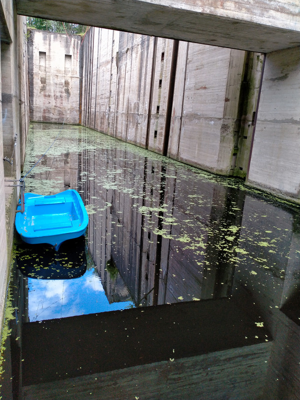 14.07 - IMG20210605171619 (VdL)