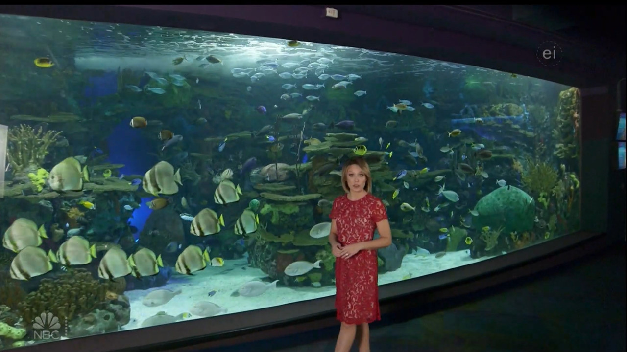 11.07 - 15.00.00 - Earth Odyssey With Dylan Dreyer. The world's smart....ts_snapshot_01.05.08.773