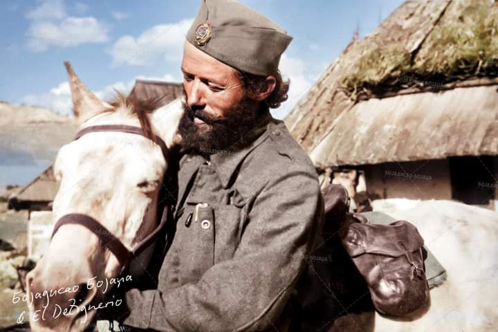 [Слика: FB-IMG-1716760884151.jpg]