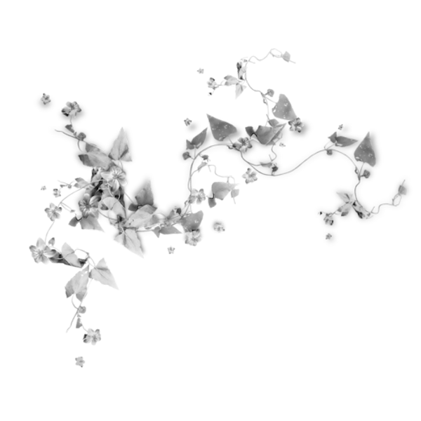 TADD_elements_PrincessParisian (132)