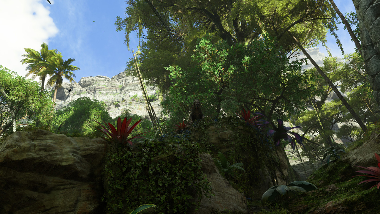 afop 2026 01 10 07 11 34 883