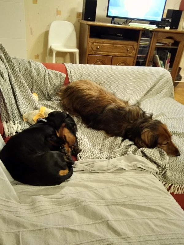 [Image: IMG-20200921-214856.jpg]