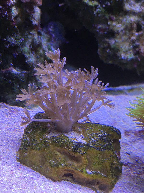 5BA9D266-09A8-497A-B9D9-896EFAEC34AD