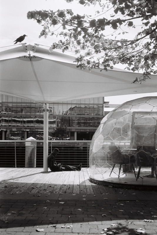 BDA29B5C-4000-4094-92EB-42C966FCA268