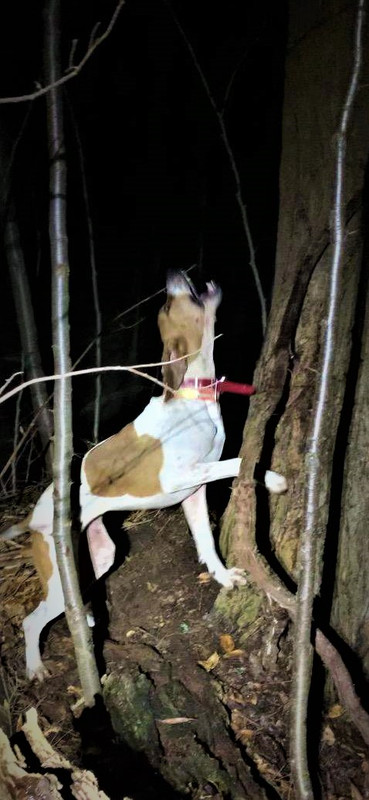 Resized_IMG_3818 (7)