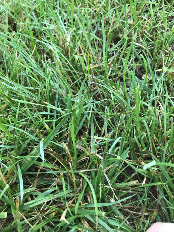 E2E7D94A-537A-4354-B98E-64B4F6748878