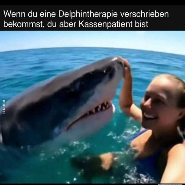 picdump-kw33-2025-149.jpg