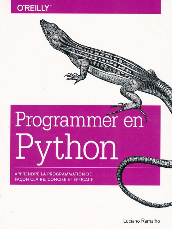 oreilly-programmer-en-python.jpg
