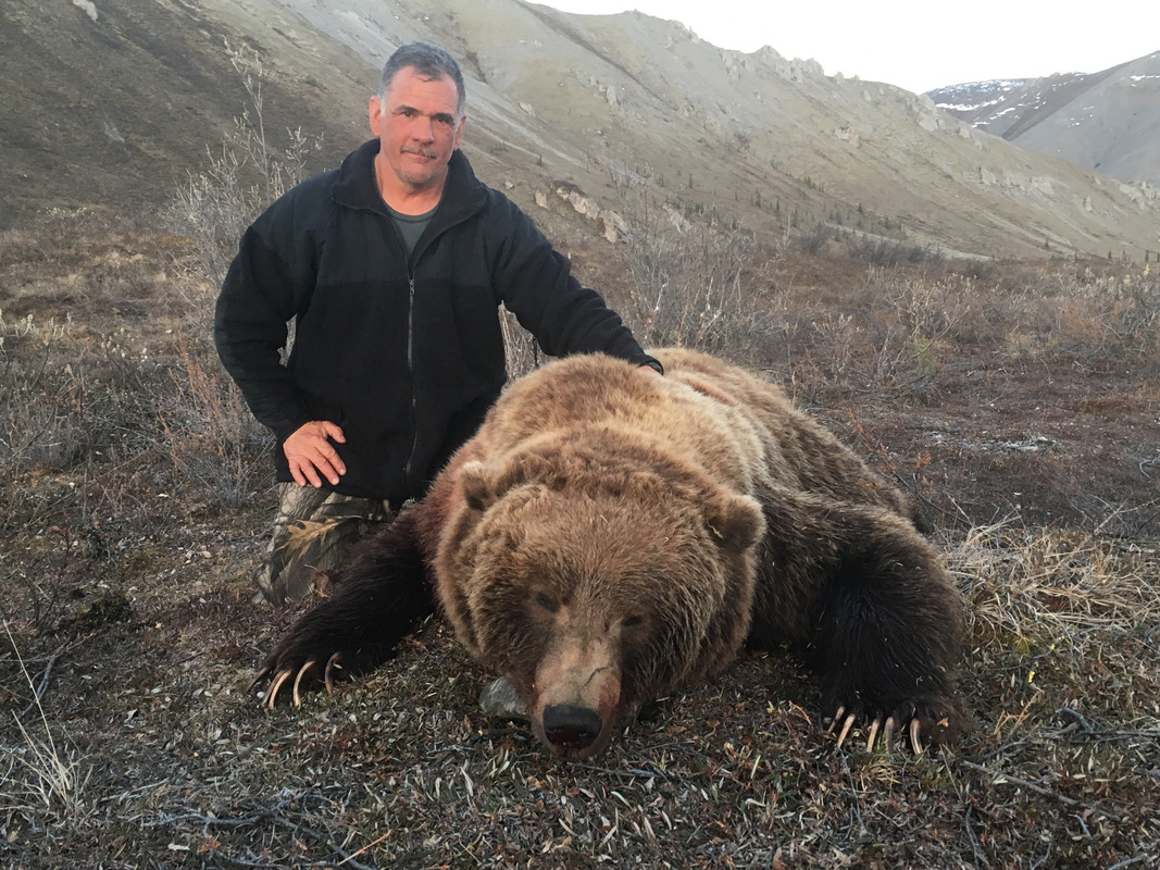 Da Bear