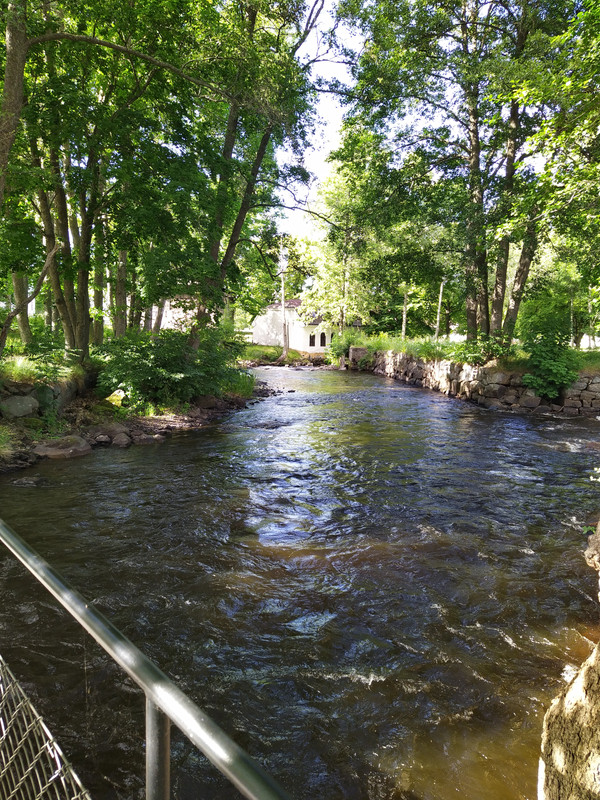 IMG_20220709_173806_1