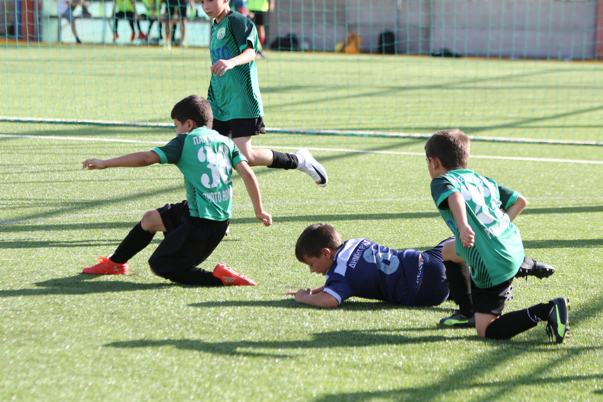 VIK_0253