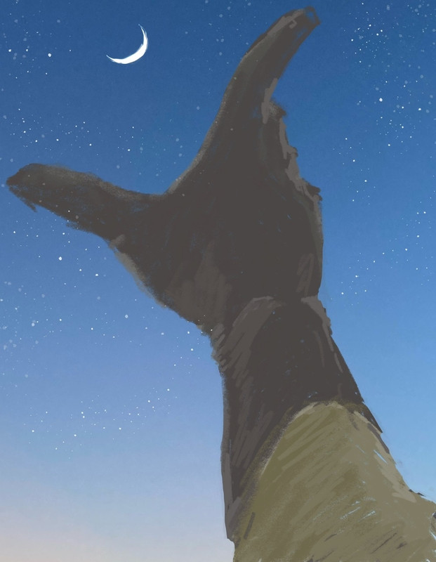 89227006_p12_master1200