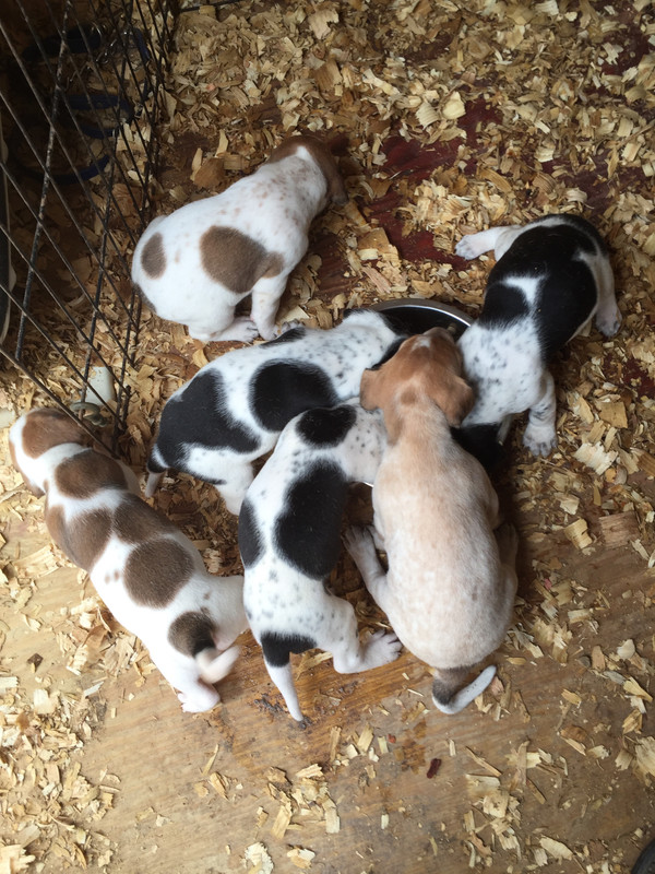 4BD9C013-E534-4B22-B297-CEE83B90CA1C