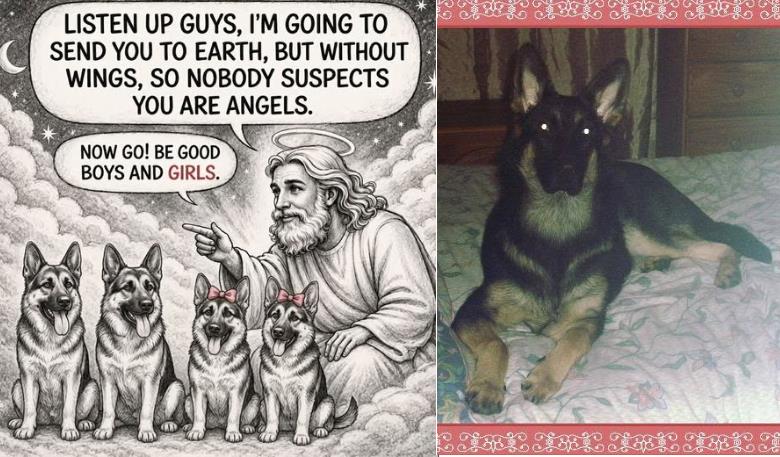 vvvvvvvvvvv.jpg