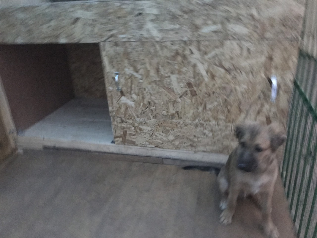 IMG-5e2ab8a8d98a49cbc70080cc9c294b80-V