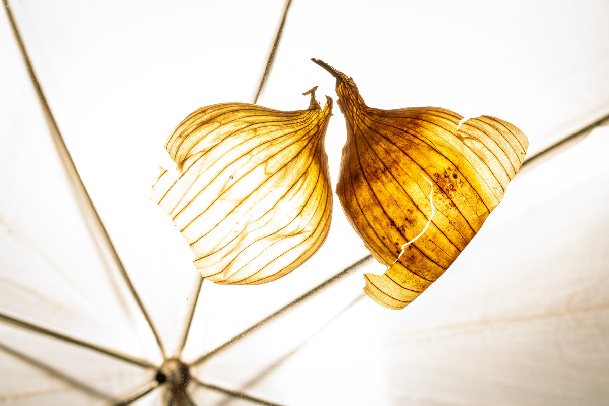 7D9C4FF7-E9A5-42BD-B0EC-18B59DCB5608