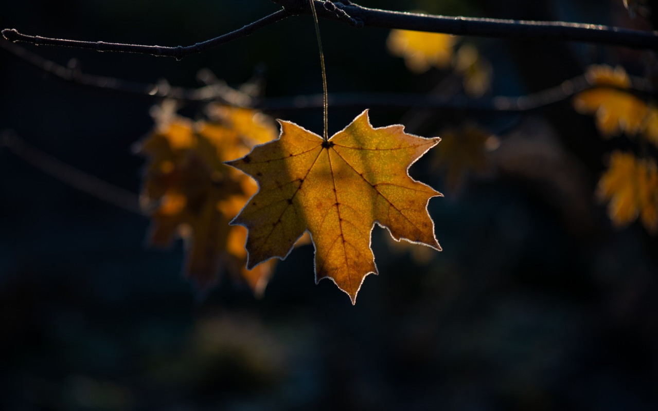 IMG-fe79ff16dee451b8dce58f264ecb4b62-V