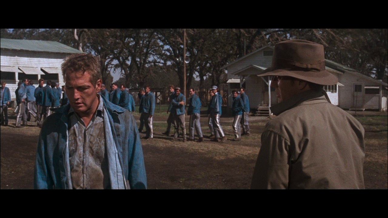 vlcsnap-2024-02-26-21h38m54s971