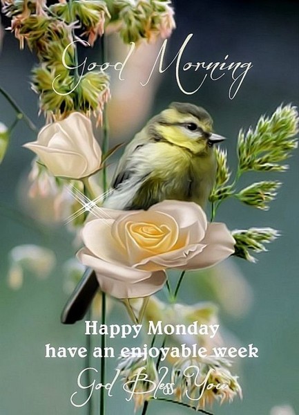 MONDAY-lundi-37-good-morning