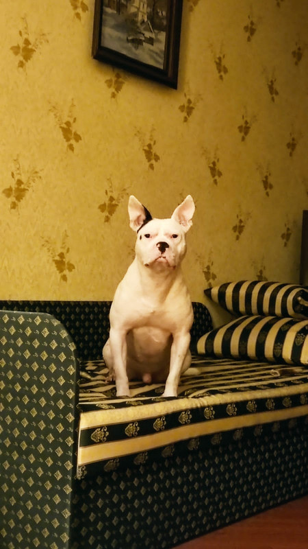 0E5C99C4-29BB-48E9-A7E1-8A66687124F7