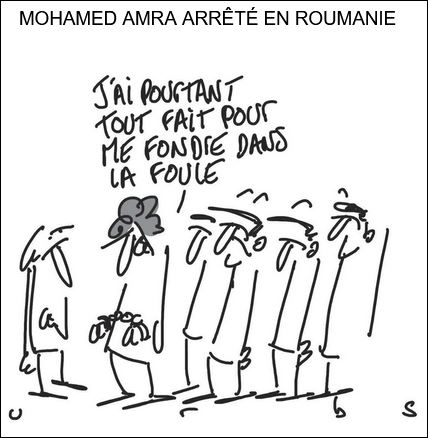 text alternatif