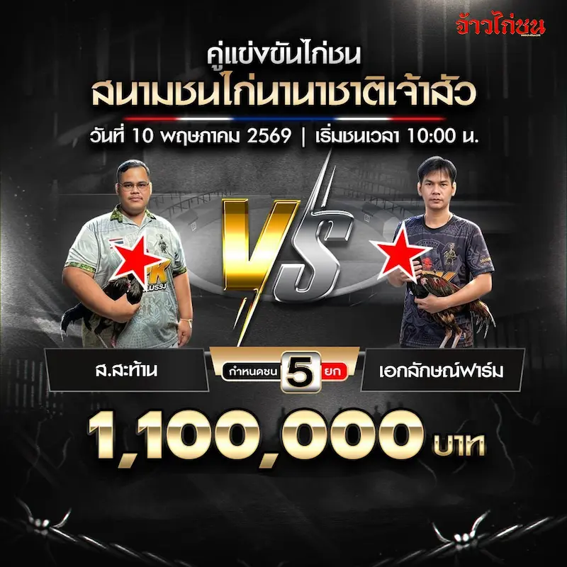 ส.สะท้าน vs เอกลักษณ์ฟาร์ม โปรแกรมไก่ชน สนามชนไก่นานาชาติเจ้าสัว 10 พฤษภาคม 2569