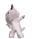 dance cat