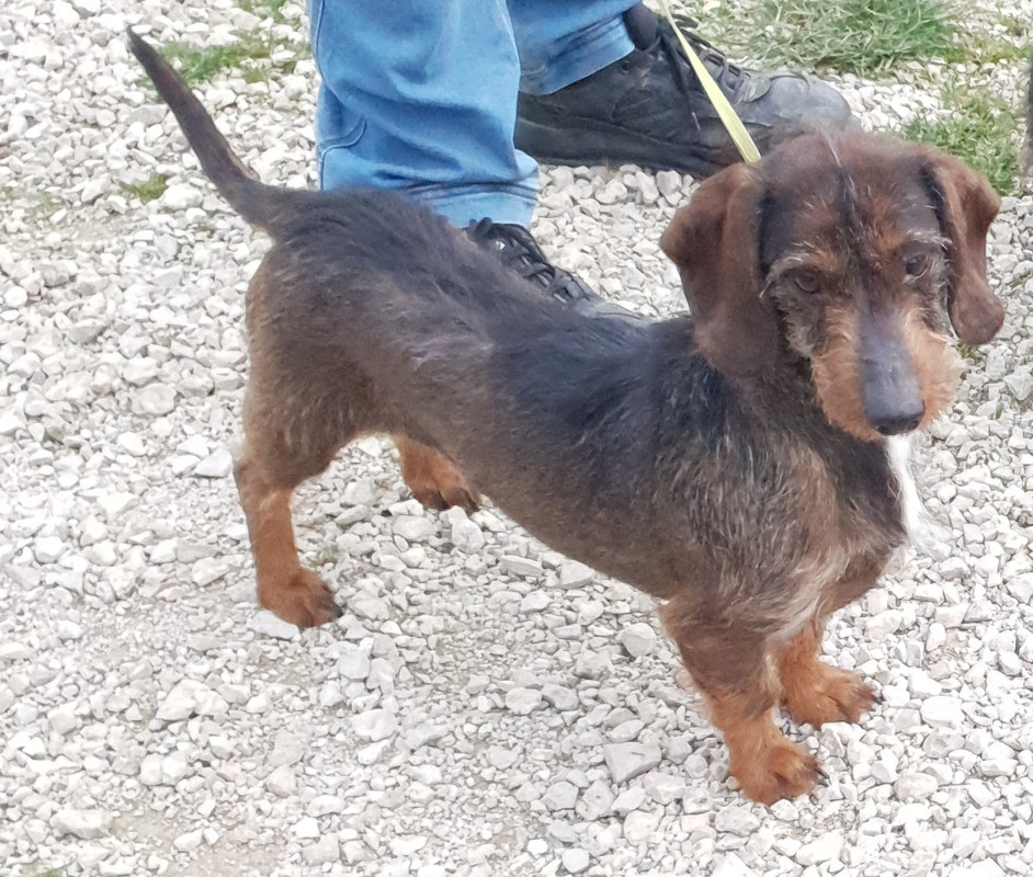 [Image: 20220301-171703.jpg]