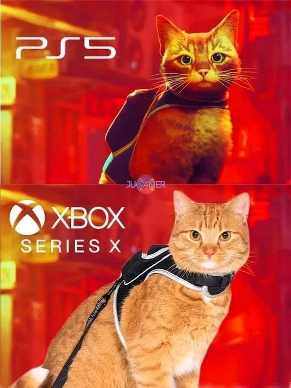 1658883337648.jpg