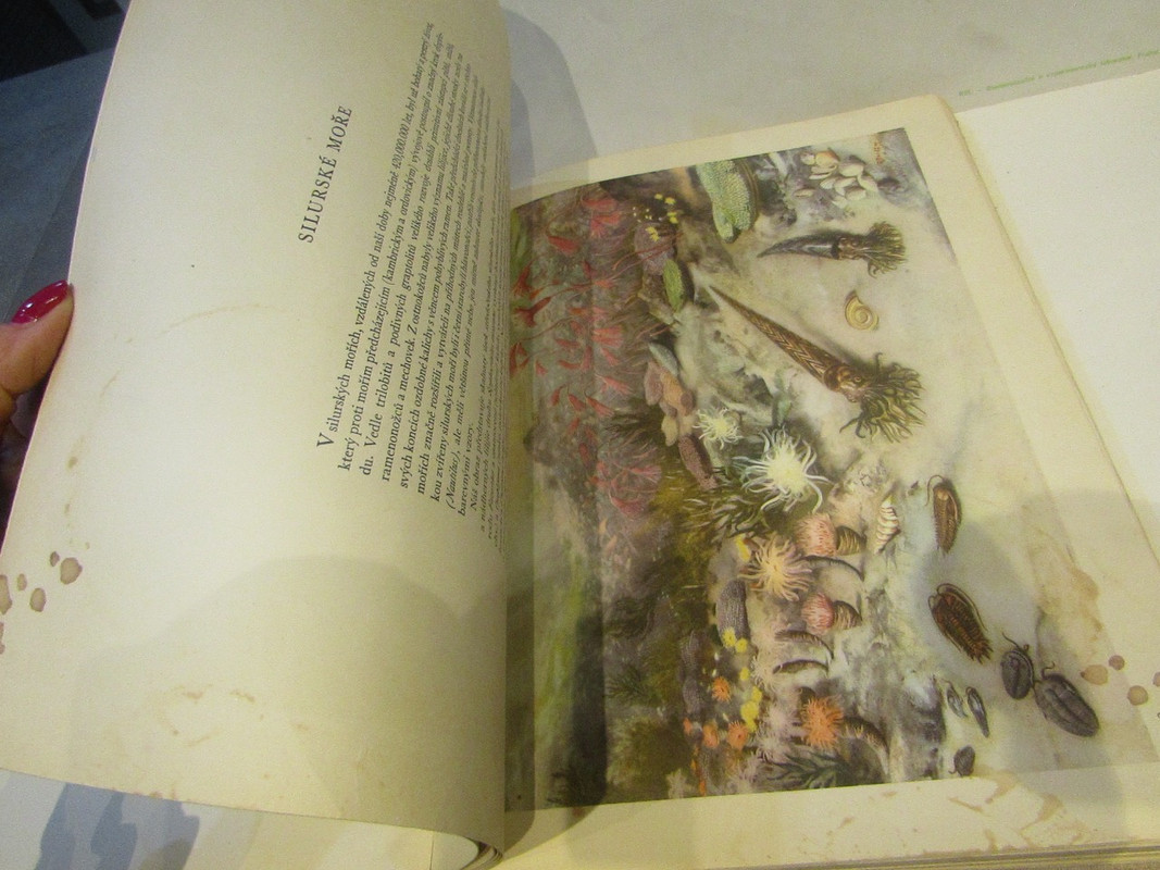 IMG 0635 — Postimages