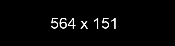 213.jpg