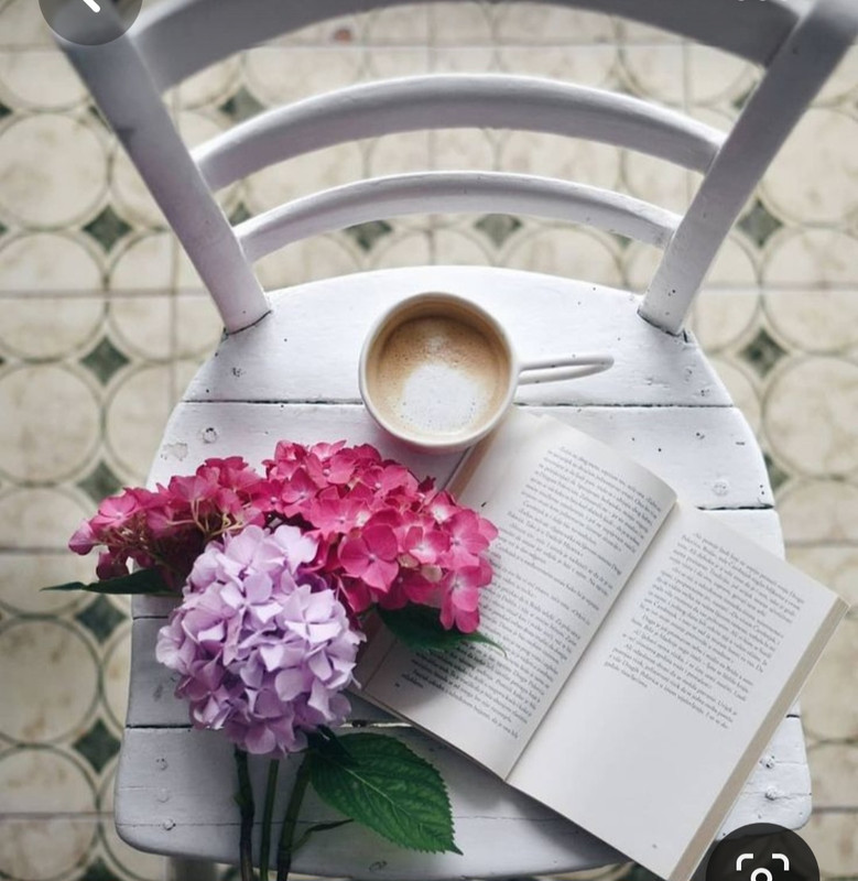 Screenshot_20230616_132242_Pinterest