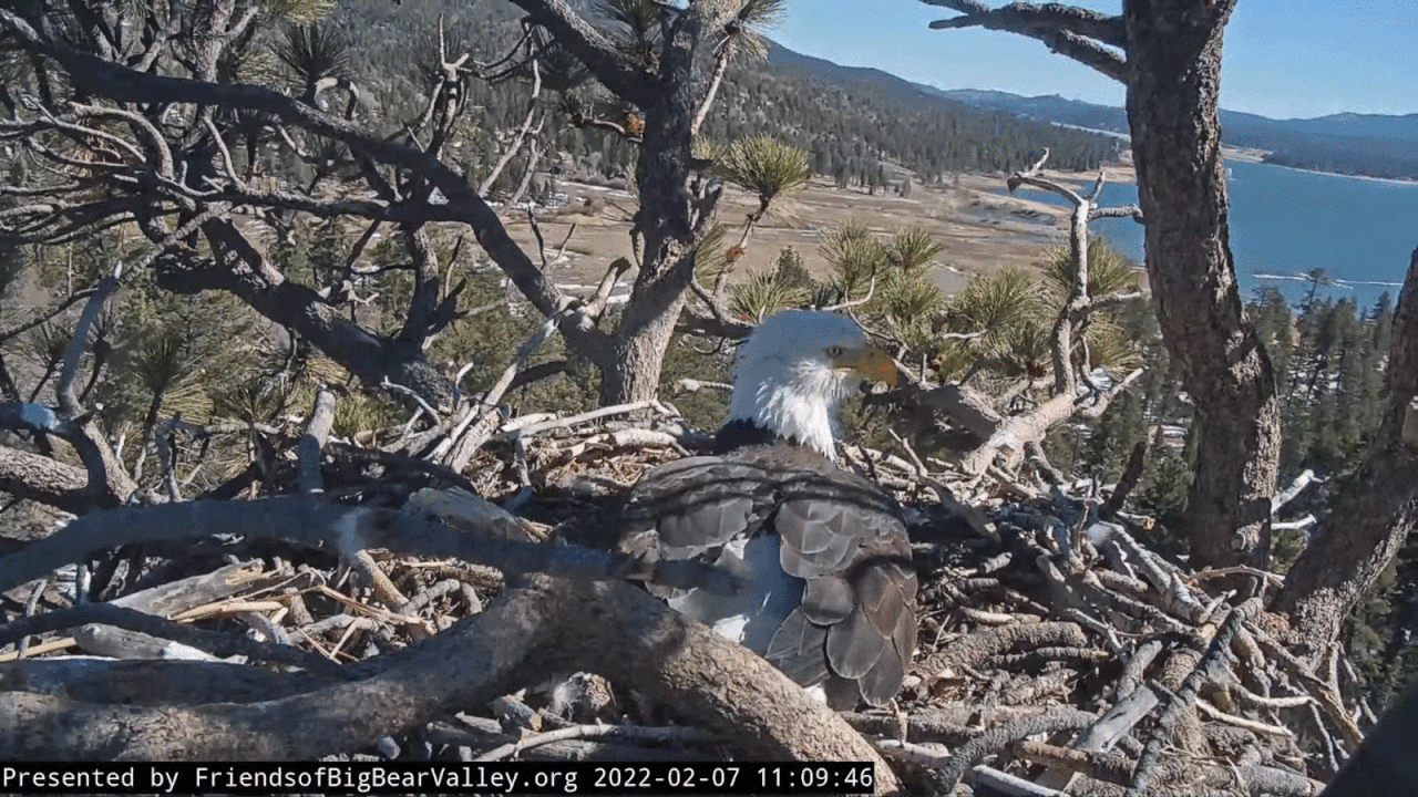 Webp.net-gifmaker (1)